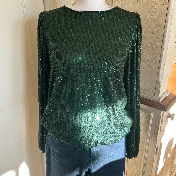 Anthropologie Tops - Anthropologie Dark Green Sequin Blouse